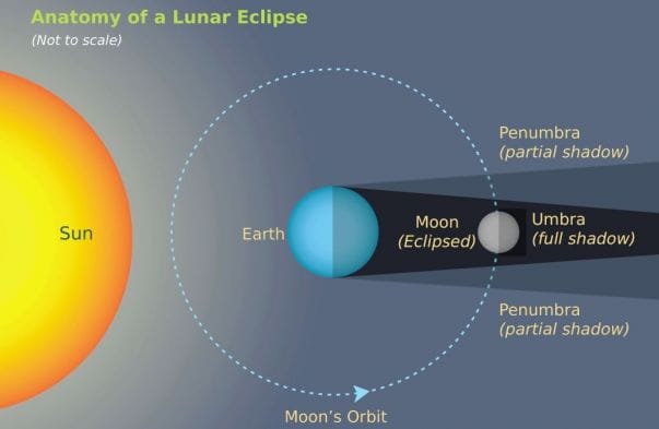 Anatomy of a Lunar Eclipse